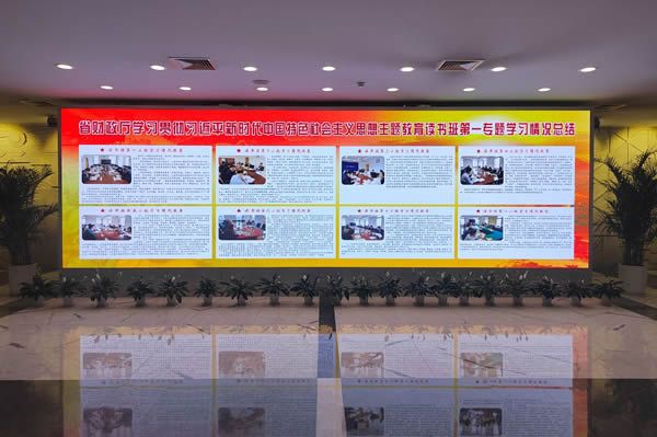 國內(nèi)有哪些COB顯示屏廠家做得比較好的？